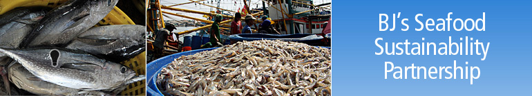 BJ’s Seafood Sustainability Partnership